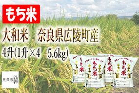 【新米先行受付】【令和6年度産】【11月下旬より順次発送予定】大和米　奈良県広陵町産　もち白米　4升(1升×4　5.6kg)// お米 ひのひかり お米 広陵町