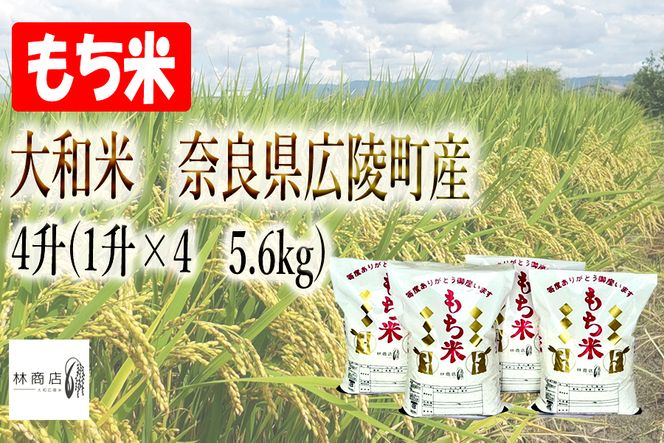 【新米先行受付】【令和6年度産】【11月下旬より順次発送予定】大和米　奈良県広陵町産　もち白米　4升(1升×4　5.6kg)// お米 ひのひかり お米 広陵町