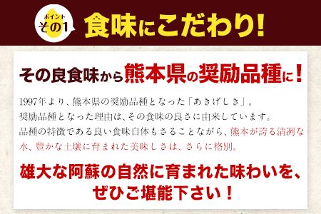 あきげしき 10kg 5kg×2袋 《3-7営業日以内に出荷予定(土日祝除く