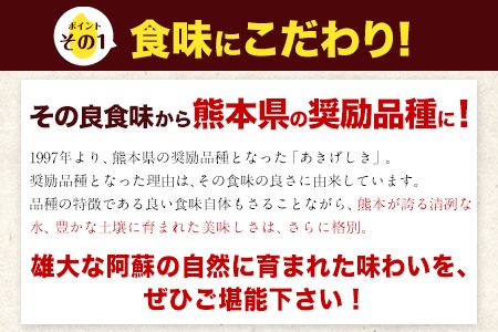 あきげしき 10kg 5kg×2袋 《3-7営業日以内に出荷予定(土日祝除く)》 白米 令和2年産 熊本県産 単一原料米 南阿蘇村 10000円 すぐ届く---mna_ag2_u_21_10000_10kg---