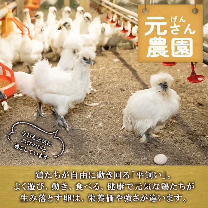 200個入り佐伯養鶏(旧:宮下養鶏)の朝採れ平飼い卵