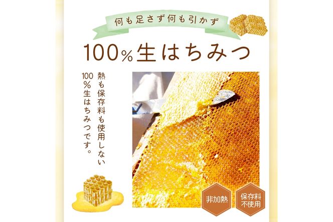 京都 生はちみつ「京丹後 山頂のはちみつ」 500g(100g×5) 【国産　非加熱】　ハチミツ　蜂蜜 ハニー　SW00004