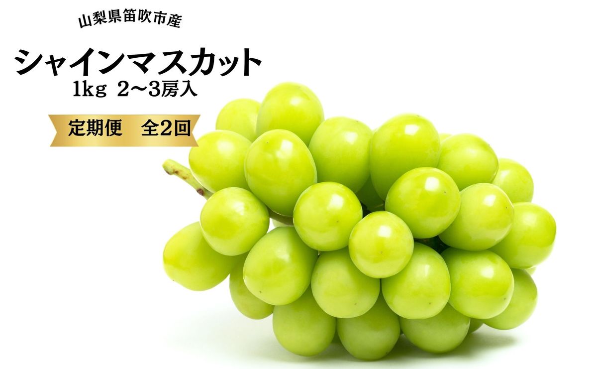 [2025年発送先行予約]葡萄の一大産地!笛吹市産シャインマスカット定期便×2回 167-015