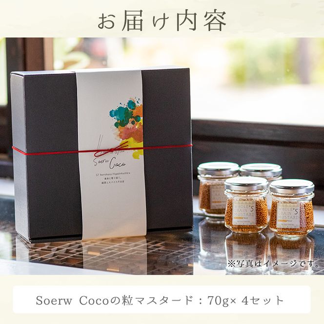 【0114212a】Soerw Cocoの粒マスタード(70g×4セット) 調味料 からし 料理【Food＆SpiceSoerwCoco】