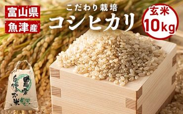 【玄米】富山県魚津産 コシヒカリ（こだわり栽培） 10kg こしひかり きらめき