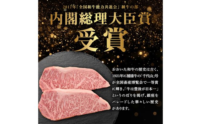 【A01104】百年の恵み　おおいた和牛A5　ステーキ用厚切り【厳選部位】約600ｇ