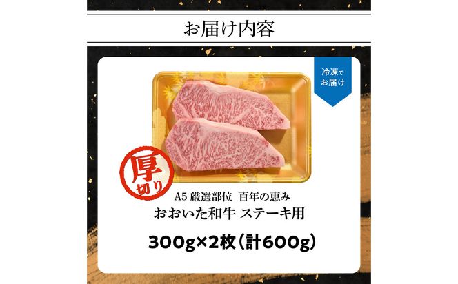 【A01104】百年の恵み　おおいた和牛A5　ステーキ用厚切り【厳選部位】約600ｇ