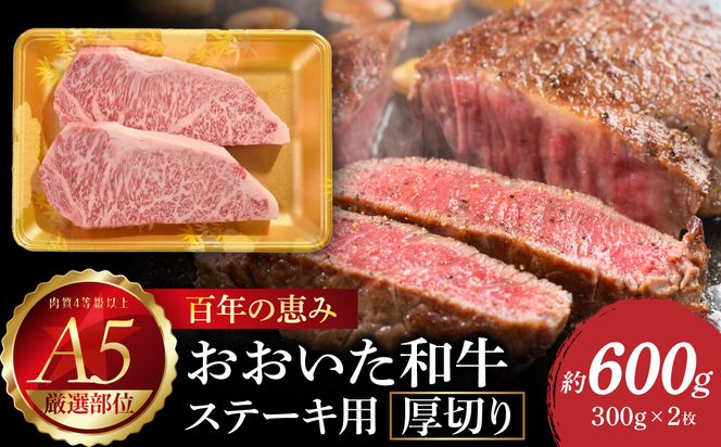 【A01104】百年の恵み　おおいた和牛A5　ステーキ用厚切り【厳選部位】約600ｇ