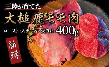 【ジビエ】大槌産 鹿肉（モモ肉 400g）【0tsuchi00379】