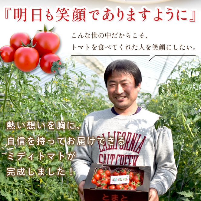 高見農園のにこにこトマト(フルーツミディトマト)約900g [1月中旬より順次発送]《 トマト とまと 産地直送 野菜 ふるさと納税 国産 期間限定 送料無料 》