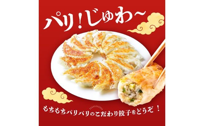 【A02033】餃子専門店の餃子 将軍餃子 60個