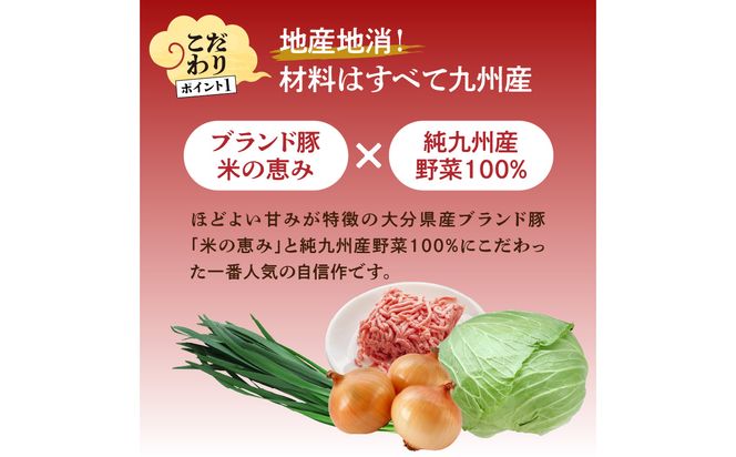 【A02033】餃子専門店の餃子 将軍餃子 60個