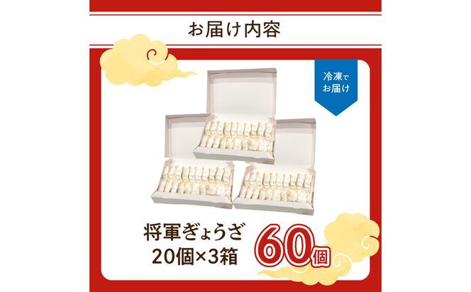 【A02033】餃子専門店の餃子 将軍餃子 60個