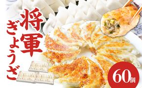 【A02033】餃子専門店の餃子 将軍餃子 60個
