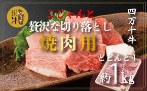 R5-979．幻の四万十牛 こじゃんと贅沢な切り落とし　焼肉用（黒毛和牛）約1ｋｇ