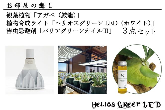 ヘリオス植物育成ライト3個セット② 植物育成LEDライト【Helios Green LED HG24（ヘリオスグリーン