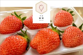 【先行予約】2026年産 京都 蜜いちご（あきひめ）（大サイズ（6粒または8粒）×2パック）約450g（2026年1月上旬～発送）　FM00010