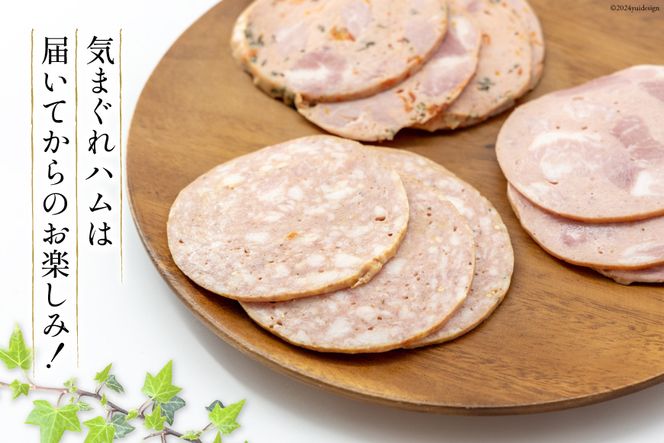 定期便【3ヶ月連続お届け】 手づくりハム 普段使いセット 計470g×3回 総計1.41kg [デリカテッセン アーチャン 埼玉県 小川町 233] おかず おつまみ ロースハム ハム ウィンナー ロース ベーコン スモーク 燻製 冷蔵 おまかせ