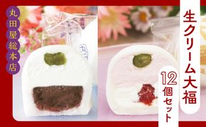 生クリーム大福12個セット  ANQ005