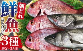 朝どれ 鮮魚 詰め合わせ 3種（2～3人前） 下処理 あり / アジ アラカブ タイ カワハギ など 魚 新鮮 セット 冷蔵 産地直送 下処理済み / 南島原市 / 美吉屋 [SDW003]