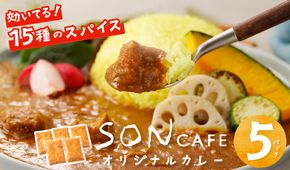 010B1184 【スピード発送】SONカフェ特製カレー 200g×5 冷凍 簡単調理 15種スパイス 泉州野菜使用 いずみピクルス NSW