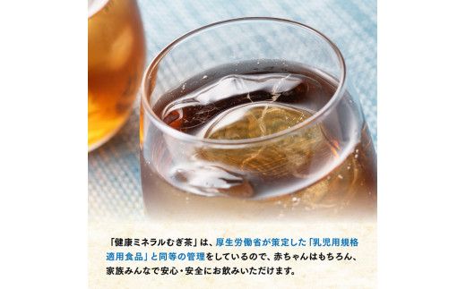 健康ミネラル むぎ茶2L×6本×2ケースPET [6ケ月定期便] （麦茶）[D07359t6]