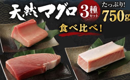 船元が直送! 厳選 天然 マグロ 3種 750g以上 | ミナミマグロ鮪250g メバチ鮪250g ビンチョウ鮪400g 南 目鉢 鬢長 セット まぐろ 食べ比べ みなみまぐろ めばちまぐろ びんちょうまぐろ ワケアリ わけあり 訳あり 刺身 さしみ 刺し身 冷凍 漬け 海鮮 丼 父の日 高知県 室戸市 ge002