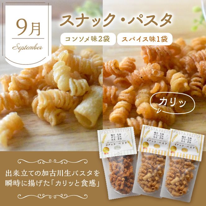 焼き菓子定期便《 焼き菓子 定期便 バニラカヌレ カヌレ エッグタルト タルト スナックパスタ フィナンシェ マドレーヌ サブレ お取り寄せ ギフト 送料無料 》【2402H99805】