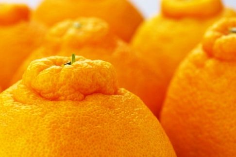 和歌山有田の濃厚デコポン 15～24玉 約5kg［先行予約］［MS78w］ AO045