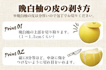 森田果樹園の晩白柚 2玉 森田果樹園《11月下旬-2月末頃出荷予定》果物 フルーツ サボン 熊本---sh_moribanpe_cf112_24_19000_2t---