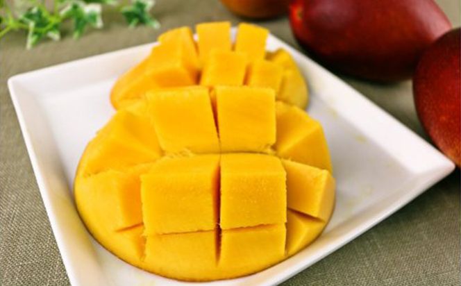 【化粧箱入】【先行受付・2026年発送】神谷ファームのマンゴー（極）約1.5Kg - 先行予約 沖縄県産 産地直送 南国フルーツ 旬の味覚 季節の果物 贈り物 ギフト 沖縄県 八重瀬町