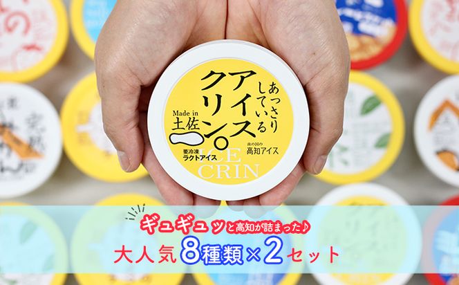 高知アイスのアイスクリーム　8種類×2