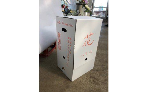 ymɓszӒ  Q{ĂPUֈȏ ACr[ H042-010