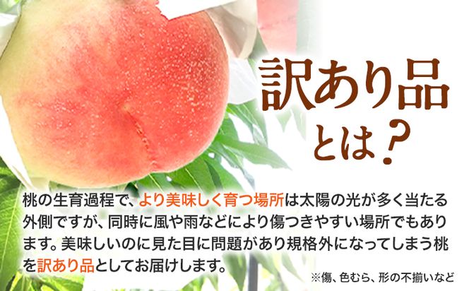 【訳あり】 ご家庭用 和歌山の桃 約2kg (6玉~8玉) m&n果実園 【配送不可地域あり】《6月中旬-7月下旬頃出荷》和歌山県 紀の川市 モモ 桃 もも 旬 白鳳 日川白鳳 なつっこ 果物 フルーツ---wsk_cmnk4_k6_23_12000_2kg---