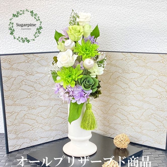 yʌtszAJ086-2 vU[uht[AWy/΁zts VK[pC