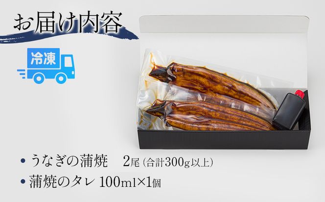 うなぎ蒲焼 「鰻葦」 2尾_M263-003