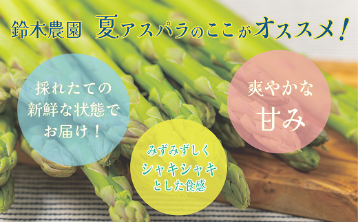 ＜北海道産 夏採れグリーンアスパラ 2㎏＞シャッキリみずみずしい味わい！！ 北海道 北海道産 国産 産地直送 乙部町 旬 新鮮 農家直送 あすぱら アスパラガス 野菜 冷蔵配送 L以上 お取