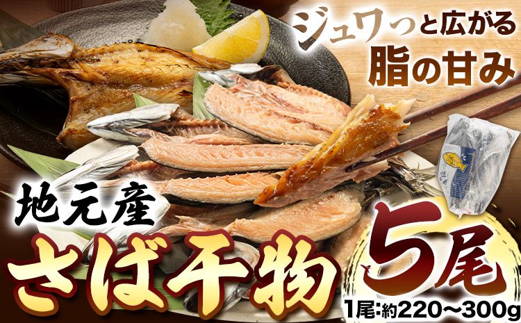 地元産 さば干物 5尾 株式会社はし長 [30日以内に出荷予定(土日祝除く)] 和歌山県 日高町 さば 鯖 干物 ---wsh_fhsn8_30d_23_12000_5b---