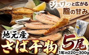 地元産 さば干物 5尾 株式会社はし長 《30日以内に出荷予定（土日祝除く）》 和歌山県 日高町 さば 鯖 干物 ---wsh_fhsn8_30d_23_12000_5b---