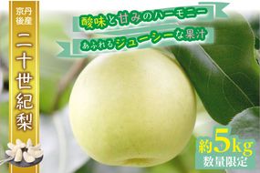 【先行予約／数量限定】京都丹後産 二十世紀梨 5kg（2025年9月上旬～発送）　AM00669