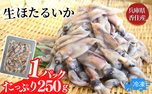 [先行予約][訳あり ほたるいか 小分け 250g×6パック 1.5kg 香住産 冷凍]令和7年2月下旬以降順次発送予定 刺身でも食べられる美味しいホタルイカをぜひ。兵庫県はホタルイカ水揚げ日本一! ホタルイカ いか 生ほたるいか 便利 兵庫県 香住 日本海 珍味 海鮮 刺し身 生食 しゃぶしゃぶ グルメ ギフト ふるさと納税 10000円 一万円 以下 日本海フーズ にしとも かに市場 07-02