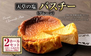 天草の塩バスチー（プレーン）2ホール セット 直径15cm 450g×2 900g チーズ チーズケーキ