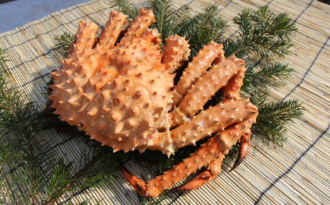 オホーツク産 幻の蟹 イバラガニ 1.0～1.2kg SRMN012