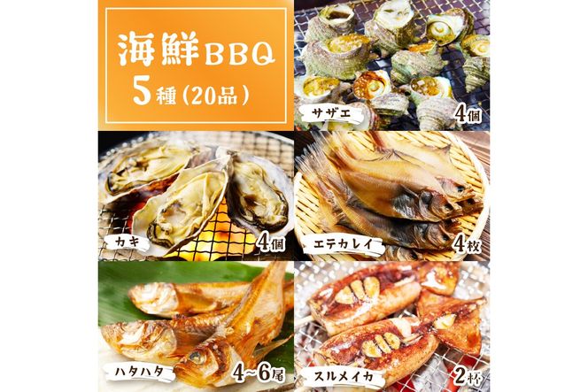 大満足！京丹後・海鮮BBQ　Aセット　5種20品（3～4人前）　YK00143