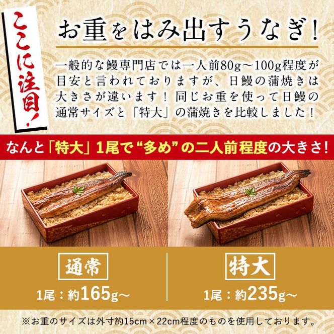 日ノ本一の鰻の蒲焼き＜特大＞2尾セット(計470g以上) b3-010