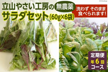 立山やさい工房のサラダセット（60g×6袋）の定期便年6回コース＜ホッコ―商事＞【富山県立山町】
