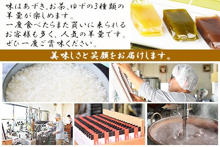 ＜一口羊羹10本入 2セット合計20本＞翌月末迄に順次出荷【c549_iy_x2】