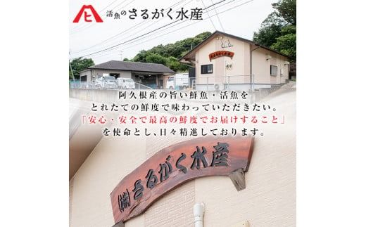 鹿児島県産！お刺身切るだけセット(3人～4人前)国産 刺し身盛 魚貝 魚介 海産物 刺身 蛸 たこ 海老 エビ かんぱち タイ 簡単調理 おつまみ セット 小分け 個包装【さるがく水産】akn028-05