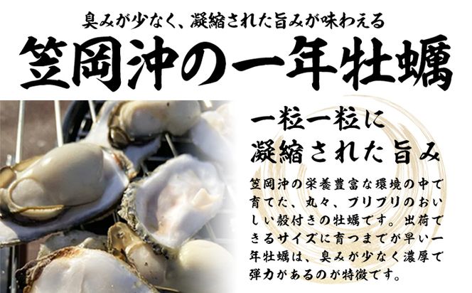 笠岡産 (瀬戸内海産) 殻付き牡蠣 (加熱用) S・Mサイズ混合 4kg 60粒前後《出荷時期が選べる》1月 2月 3月 4月 岡山県 笠岡市 かき カキ 牡蠣 生牡蠣 瀬戸内海産 殻付き---K-46---