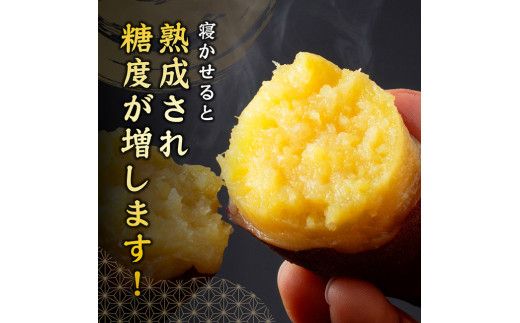 宮崎県産さつまいも　ミネラル栽培　紅はるか 2kg 【 宮崎県産 九州産 いも 芋 サツマイモ 野菜 】[C10401]